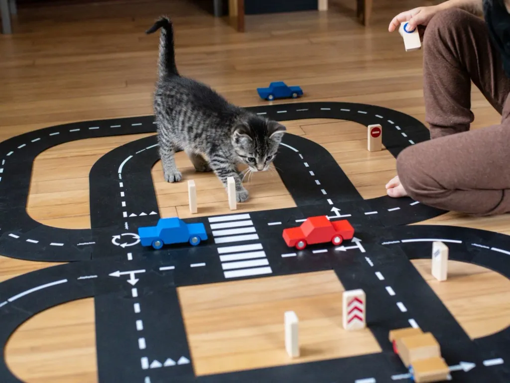 Waytoplay Spielzeug Rennstrecke + 2 Auto, Geschenkset